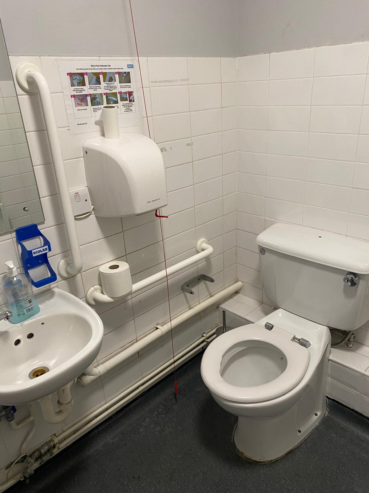 The disabled toilet